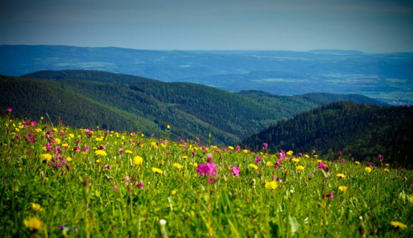 Hotel St.Anna Boží Dar